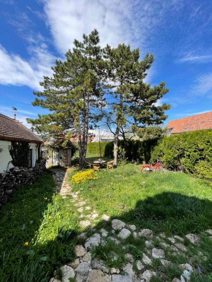 Gartenapartment Storchenblick Вайден-ам-Зе Экстерьер фото